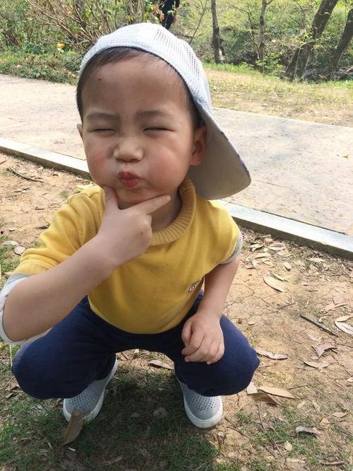 杨晴图片,光影交织下的美丽瞬间