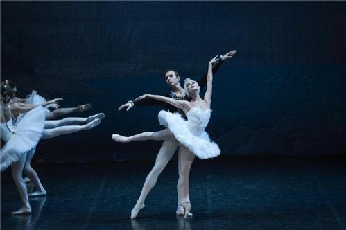 舞团明星,舞团明星的璀璨风采