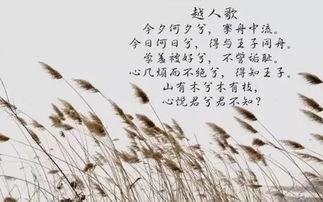 一首粤语歌 八卦八卦,揭秘粤语歌中的神秘魅力