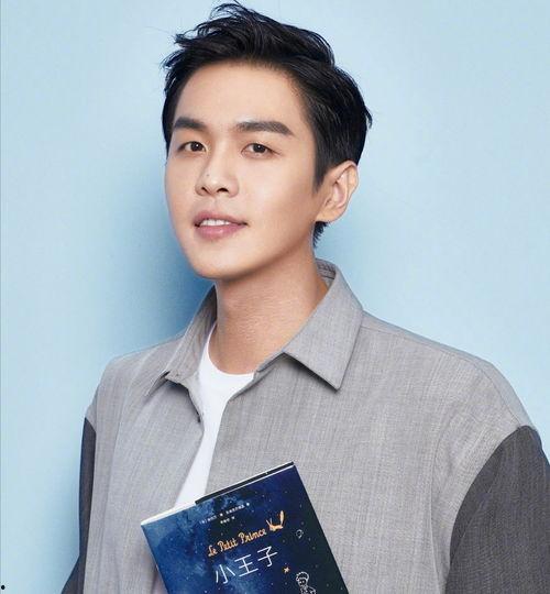 张若昀的图片,光影交错中的魅力演绎